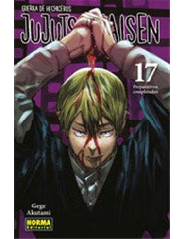 JUJUTSU KAISEN 17 NE