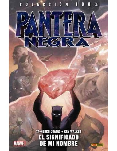 PANTERA NEGRA 02. EL SIGNIFICADO DE MI NOMBRE