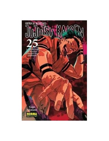 JUJUTSU KAISEN 25
