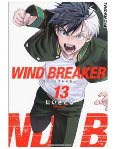 WIND BREAKER 13