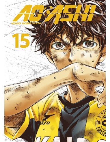 AO ASHI 15