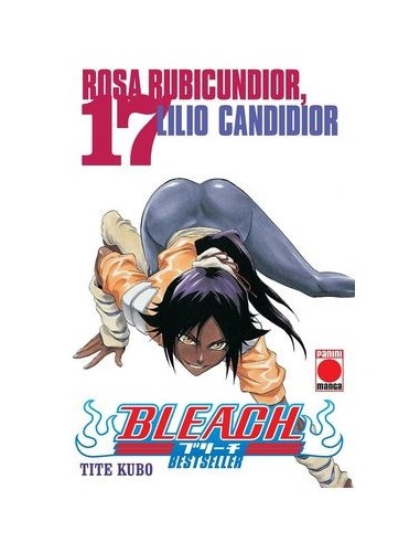 BLEACH BESTSELLER 17