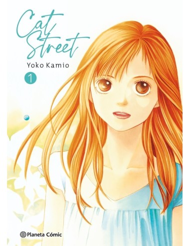 CAT STREET 1 NE