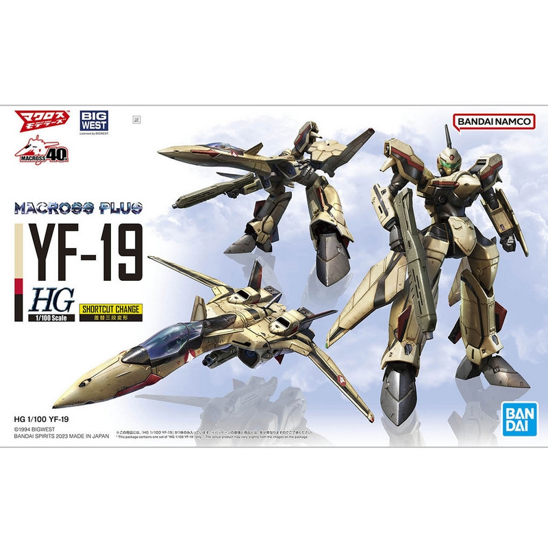 MACROSS PLUS YF-19 Isamu Dyson HG Bandai