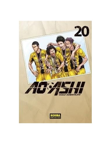 AO ASHI 20