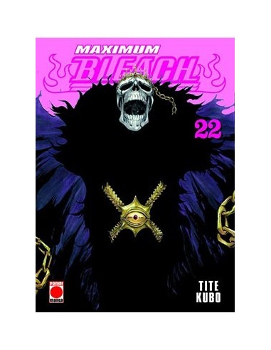 BLEACH MAXIMUM 22