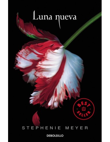 LUNA NUEVA DBBS