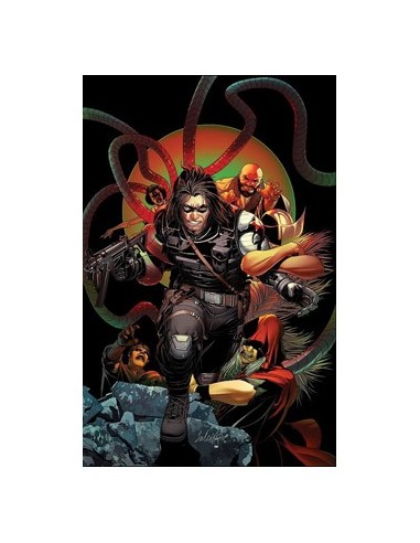 ROGERS / WILSON : CAPITAN AMERICA 8