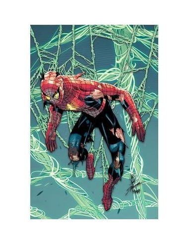 EL ASOMBROSO SPIDERMAN 11
